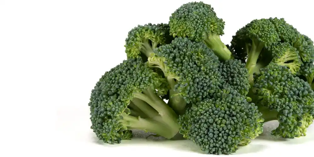 Broccoli