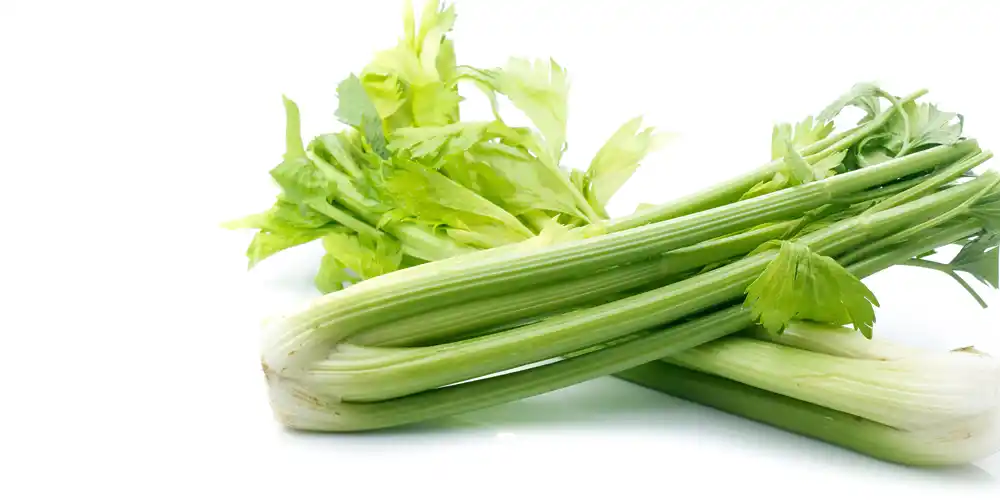 Celery