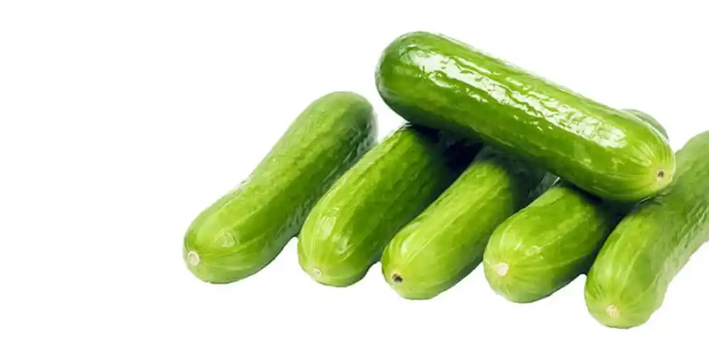 Mini Seedless Cucumbers