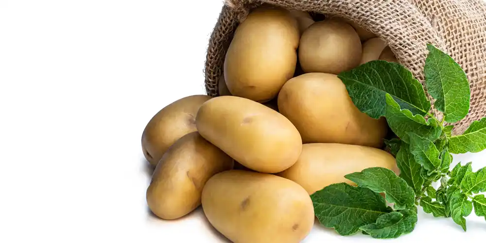 Yellow Potatoes