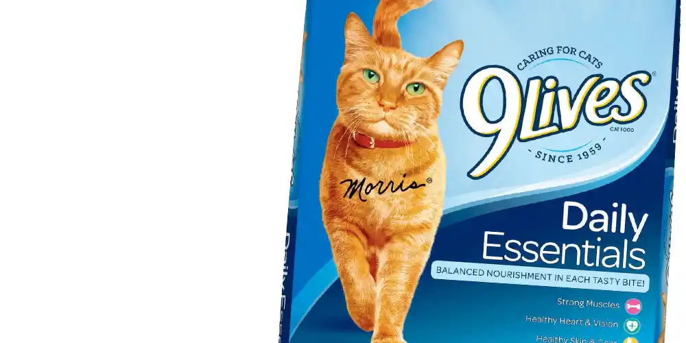 9 Lives Cat Food