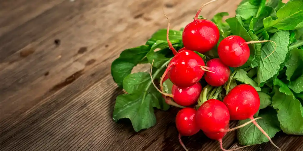 Red Radishes