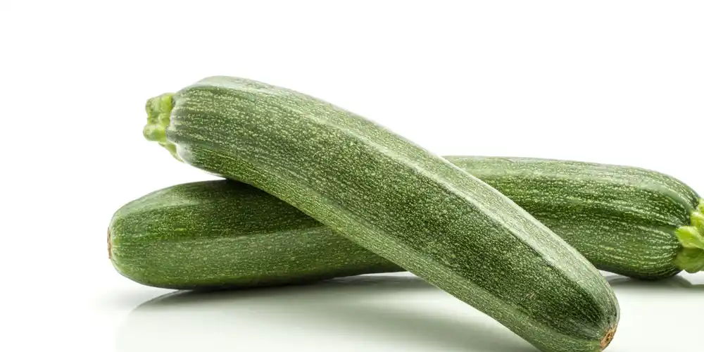 Zucchini Squash