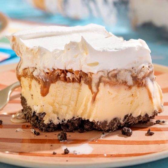 Five Layer Ice Cream Cake/Bars