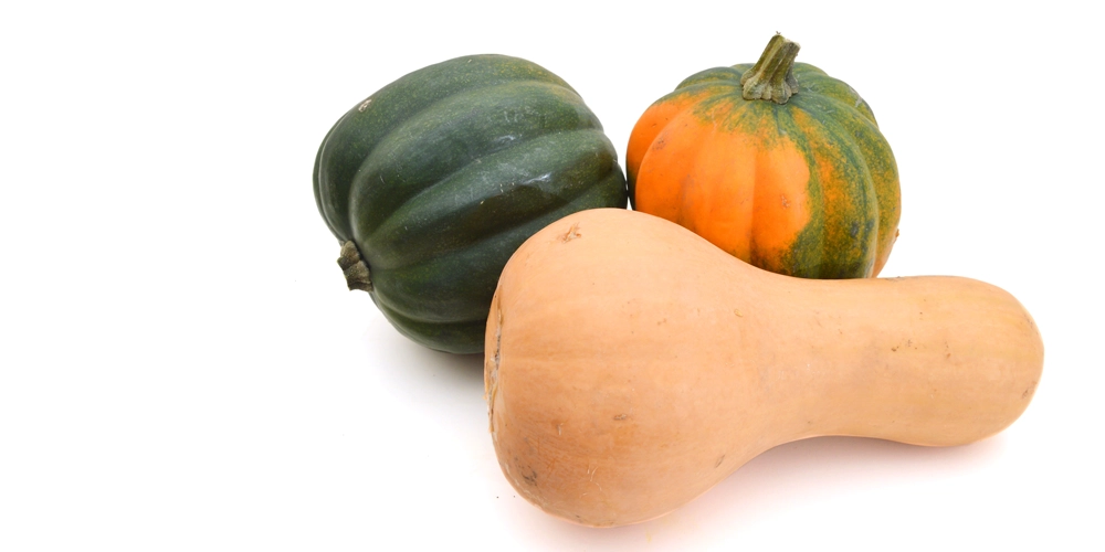 Butter Nut, Acorn or Spaghetti Squash