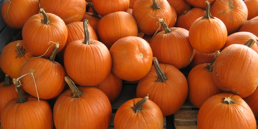 Pumpkins